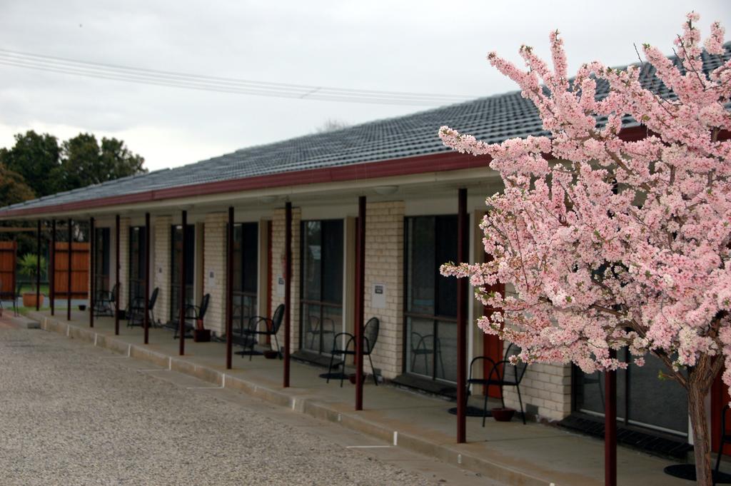 Motel Woongarra Рутерглен Экстерьер фото